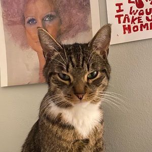 Meet your Posher, Lydia